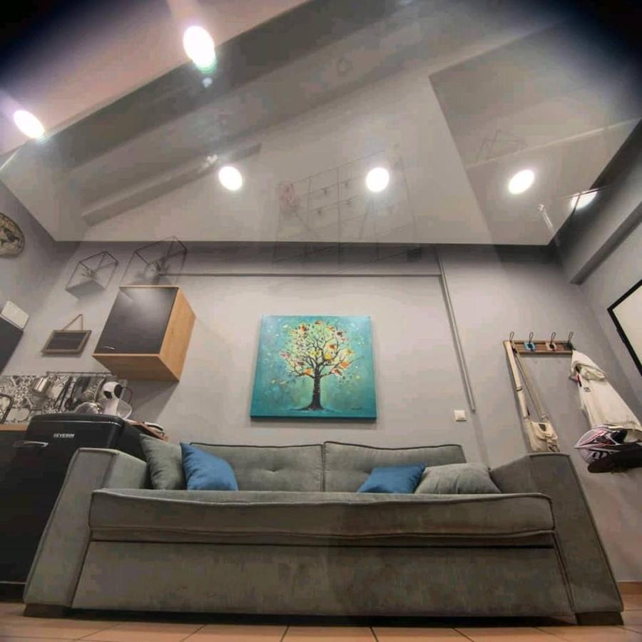 Alley's House